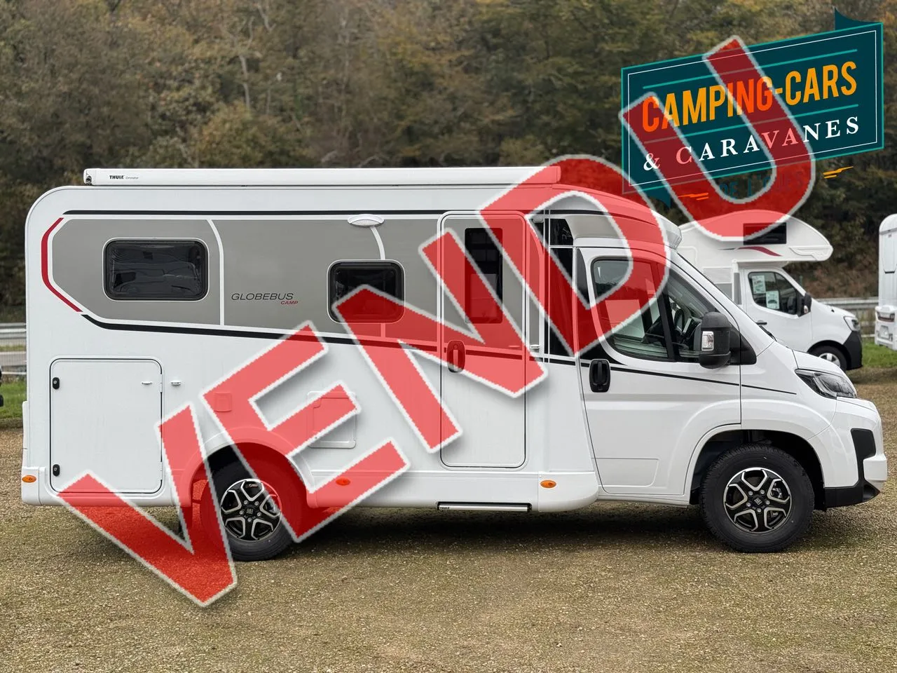 GLOBEBUS CAMP T1