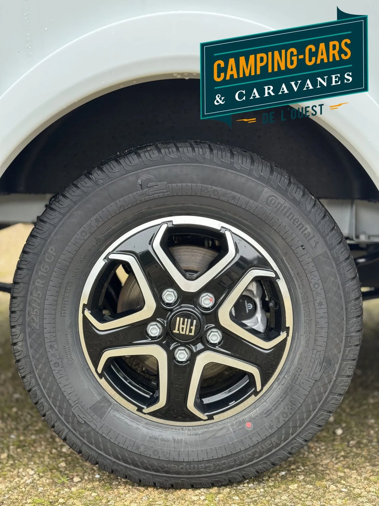 Camping-car - Dethleffs - GLOBEBUS CAMP T1 - 2025