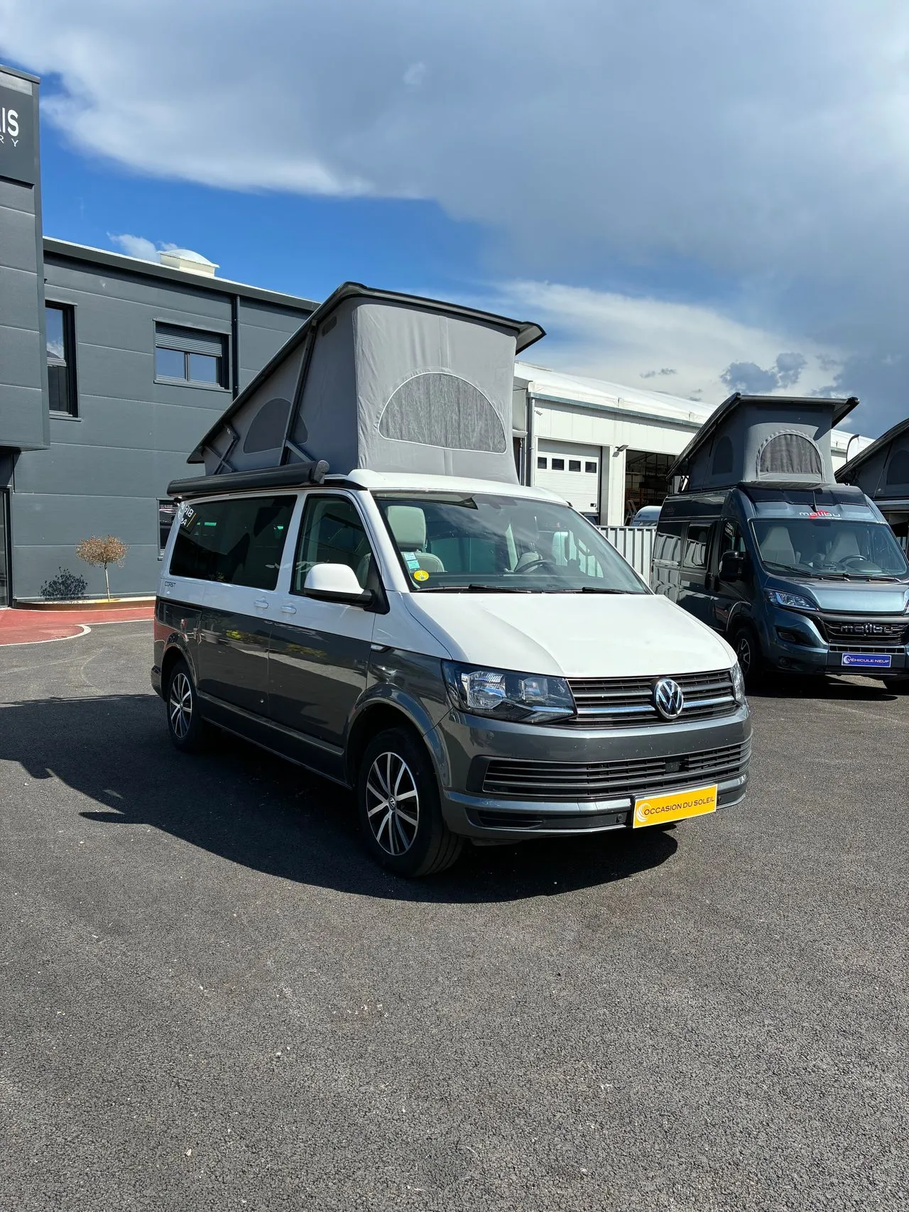 California T6