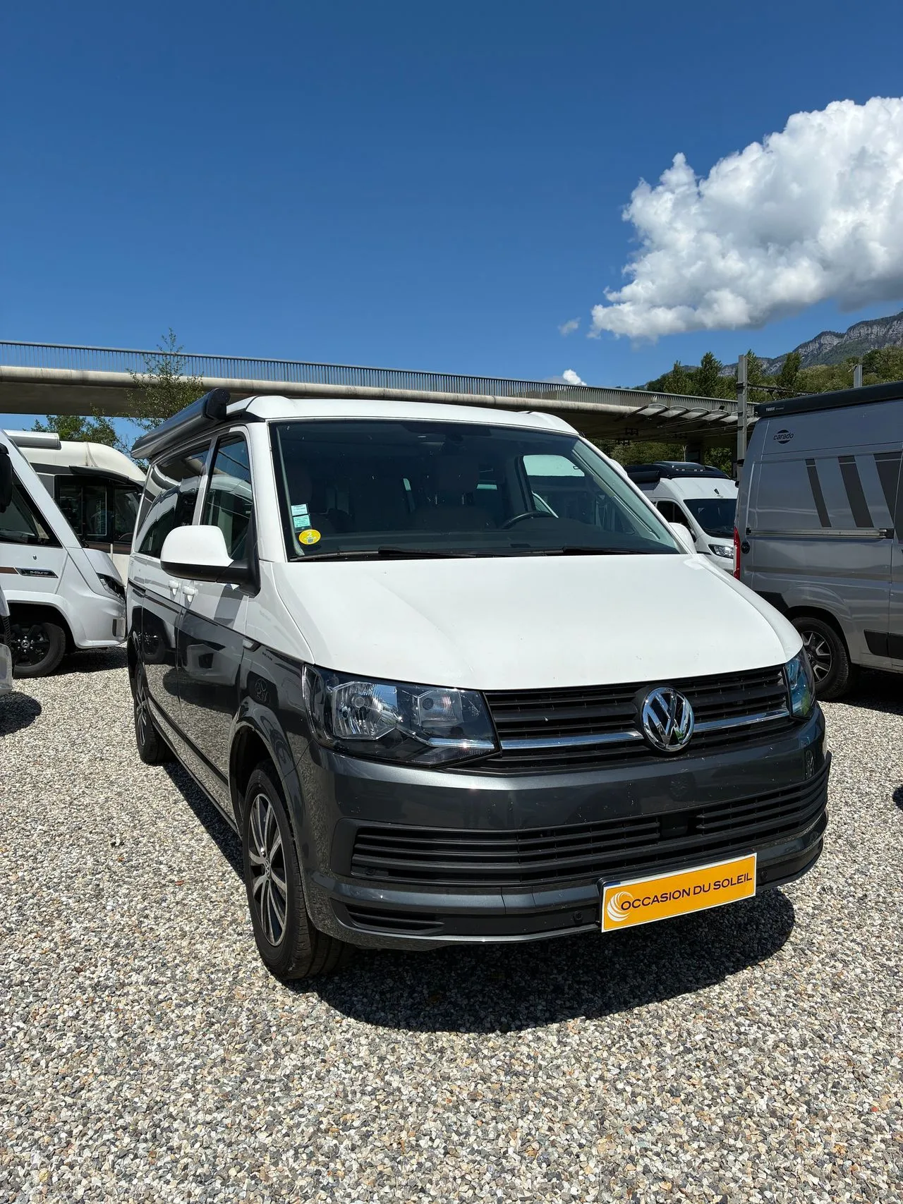 California T6