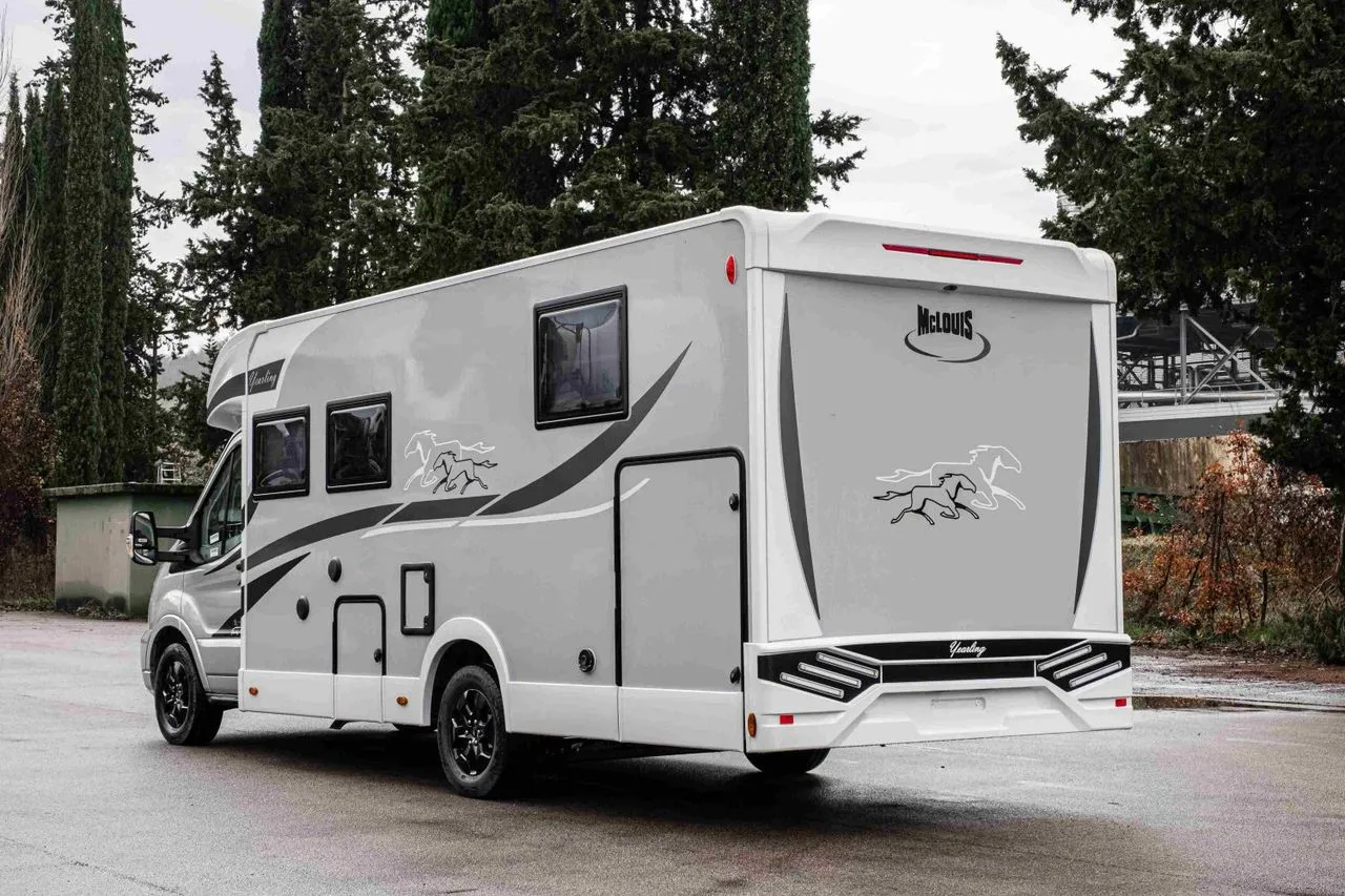 YEARLING 81  / SERIE DE PRINTEMPS