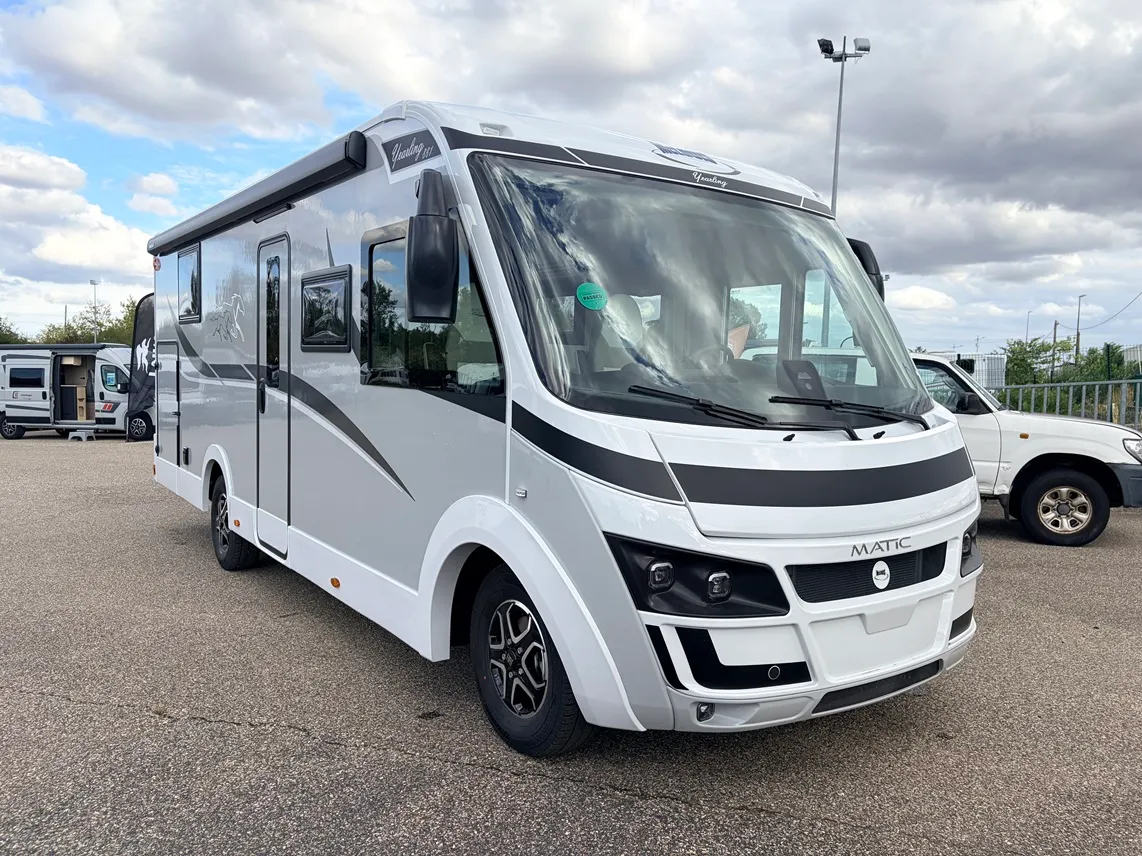 NEVIS 881 YEARLING