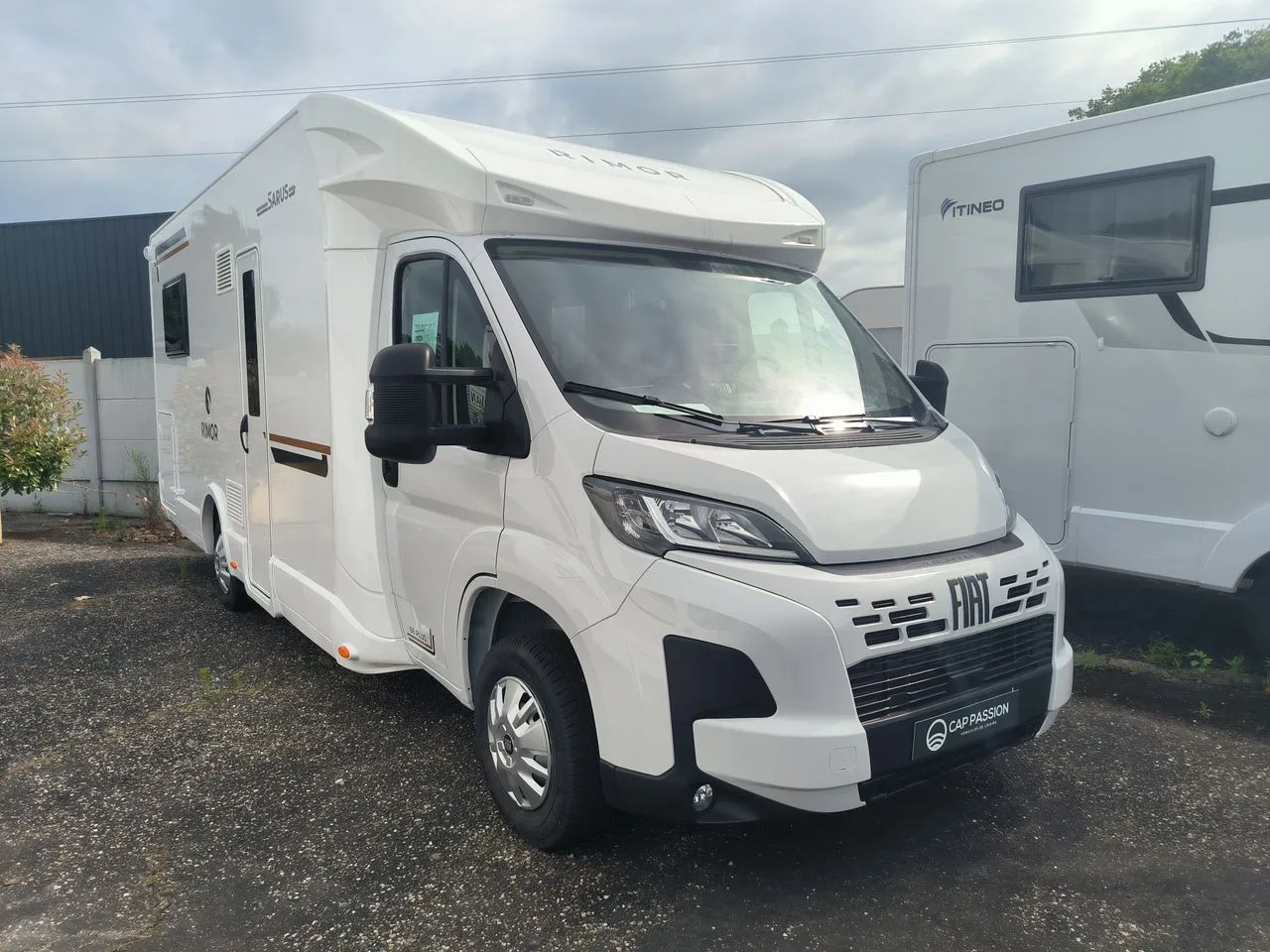 sarus 66